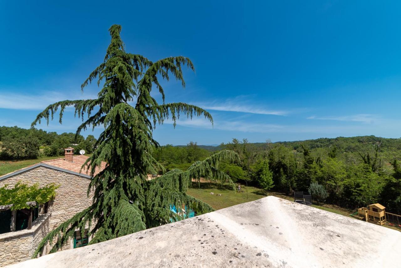 Julijud, Heated Pool, Jacuzzi, Dome And Sauna Brajkovici  Dış mekan fotoğraf